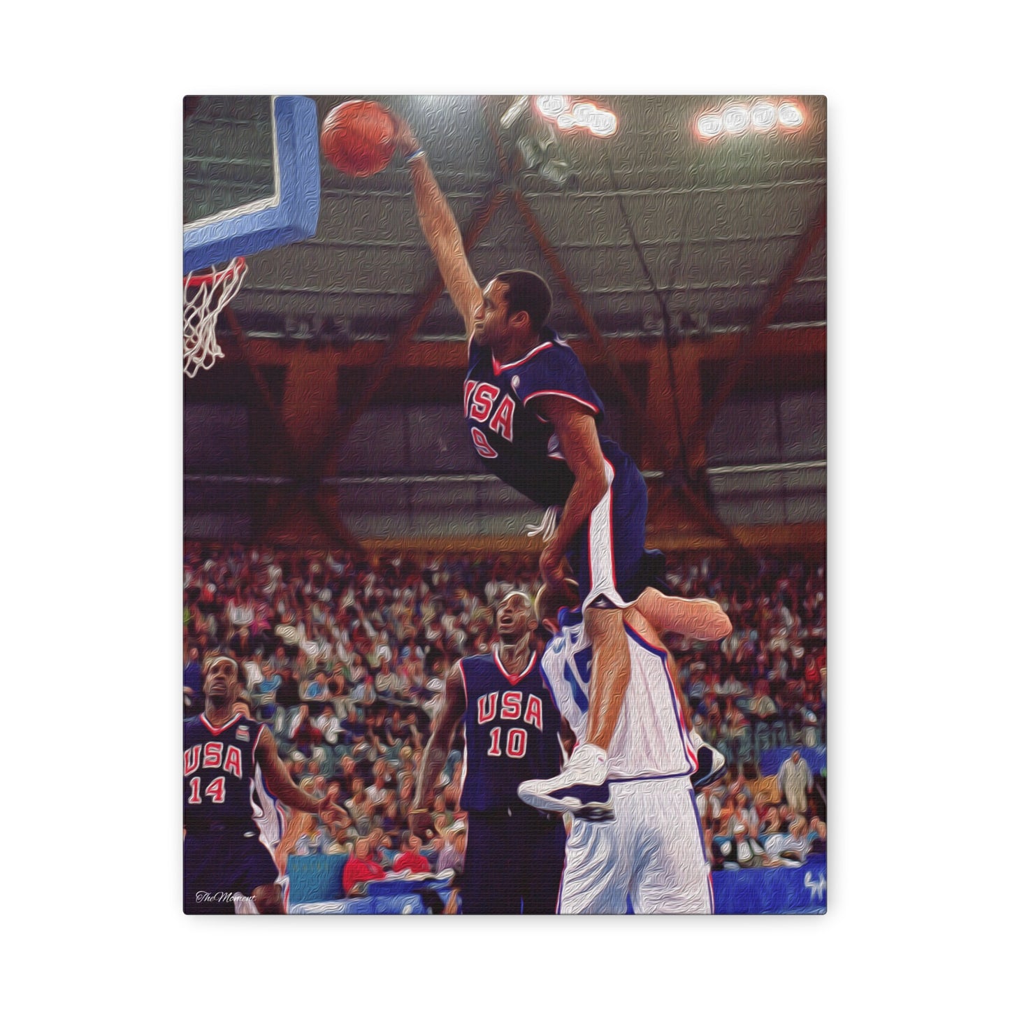 Vince's Olympic Dunk